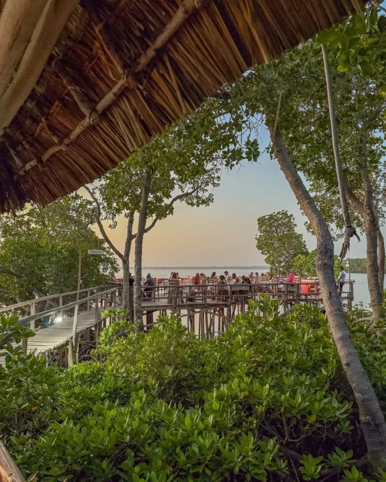 Serenity_Penthouse_Watamu___Stop_scrolling—your_perfect_Watamu_dining_experience_is_right_here!_🌅✨__Tucked_away_in_the_mangroves,_Crab_Shack_is_one_o