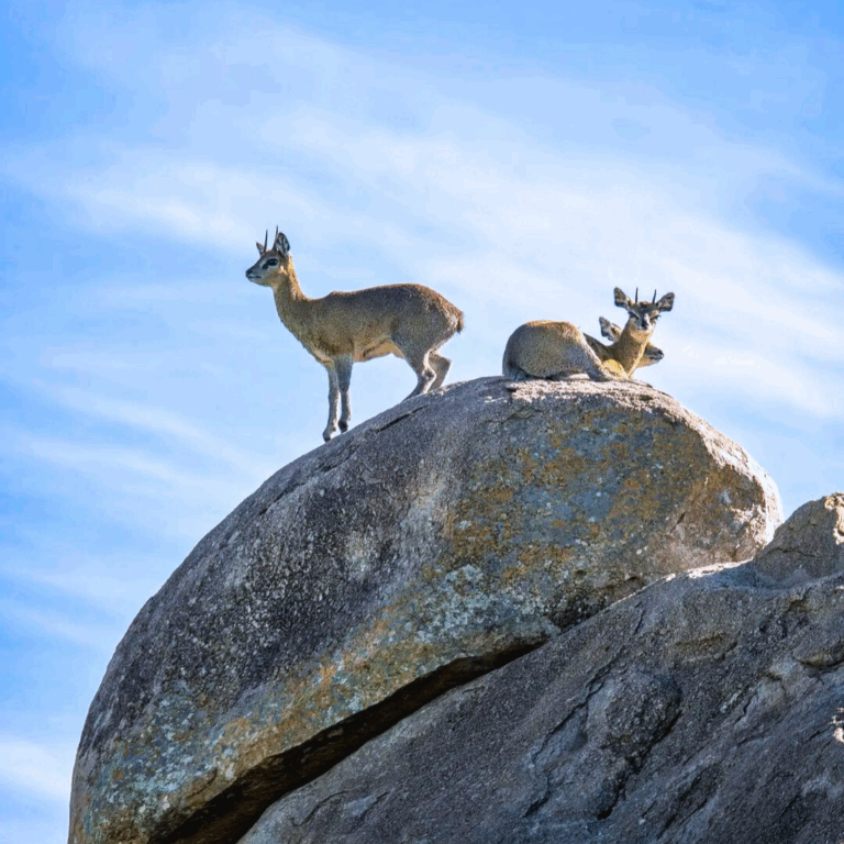 20250521_105749_0000